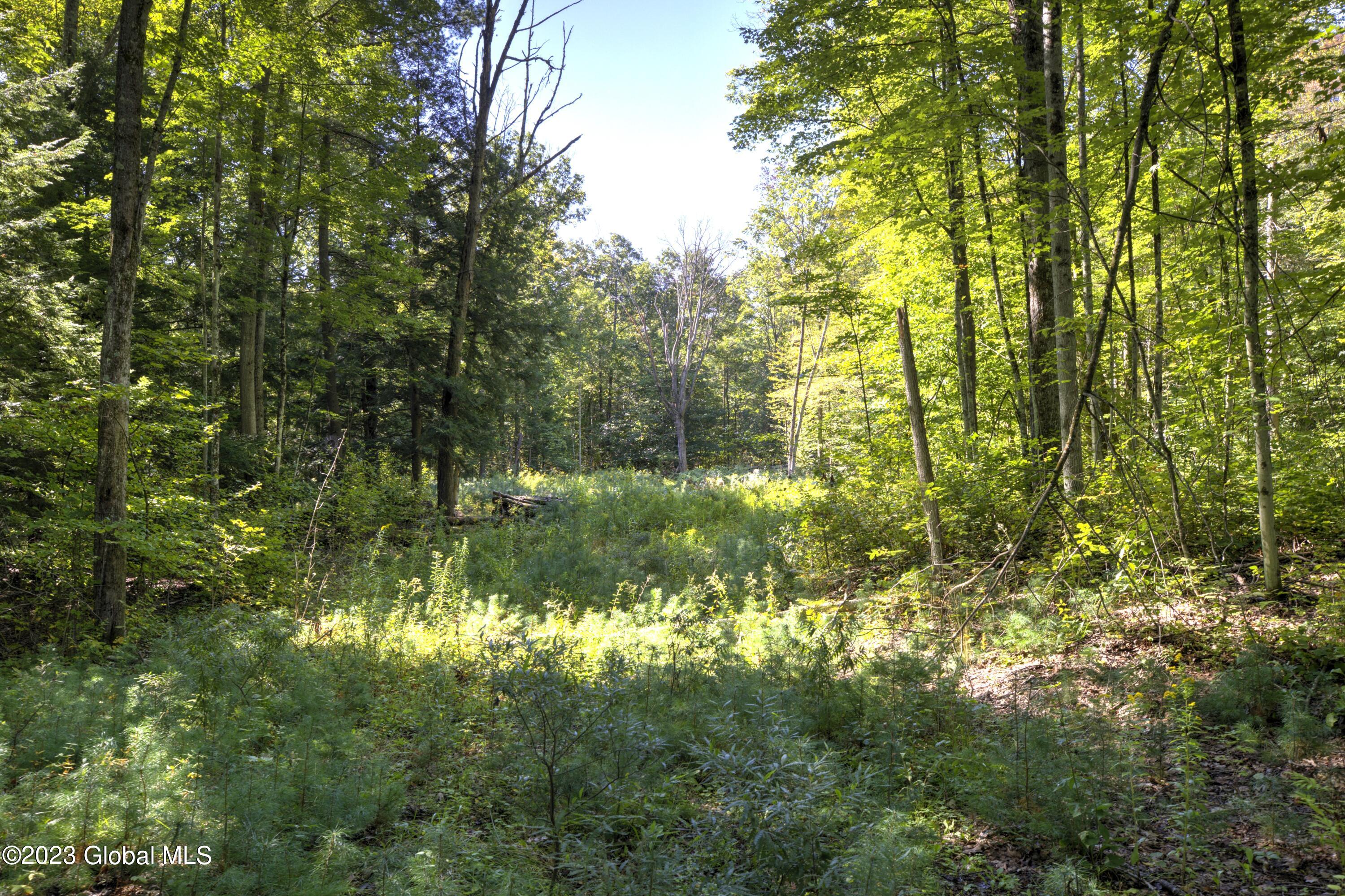 313 Pettis Road Wilton, NY 12831 - Photo 14 of 29 1 (2)