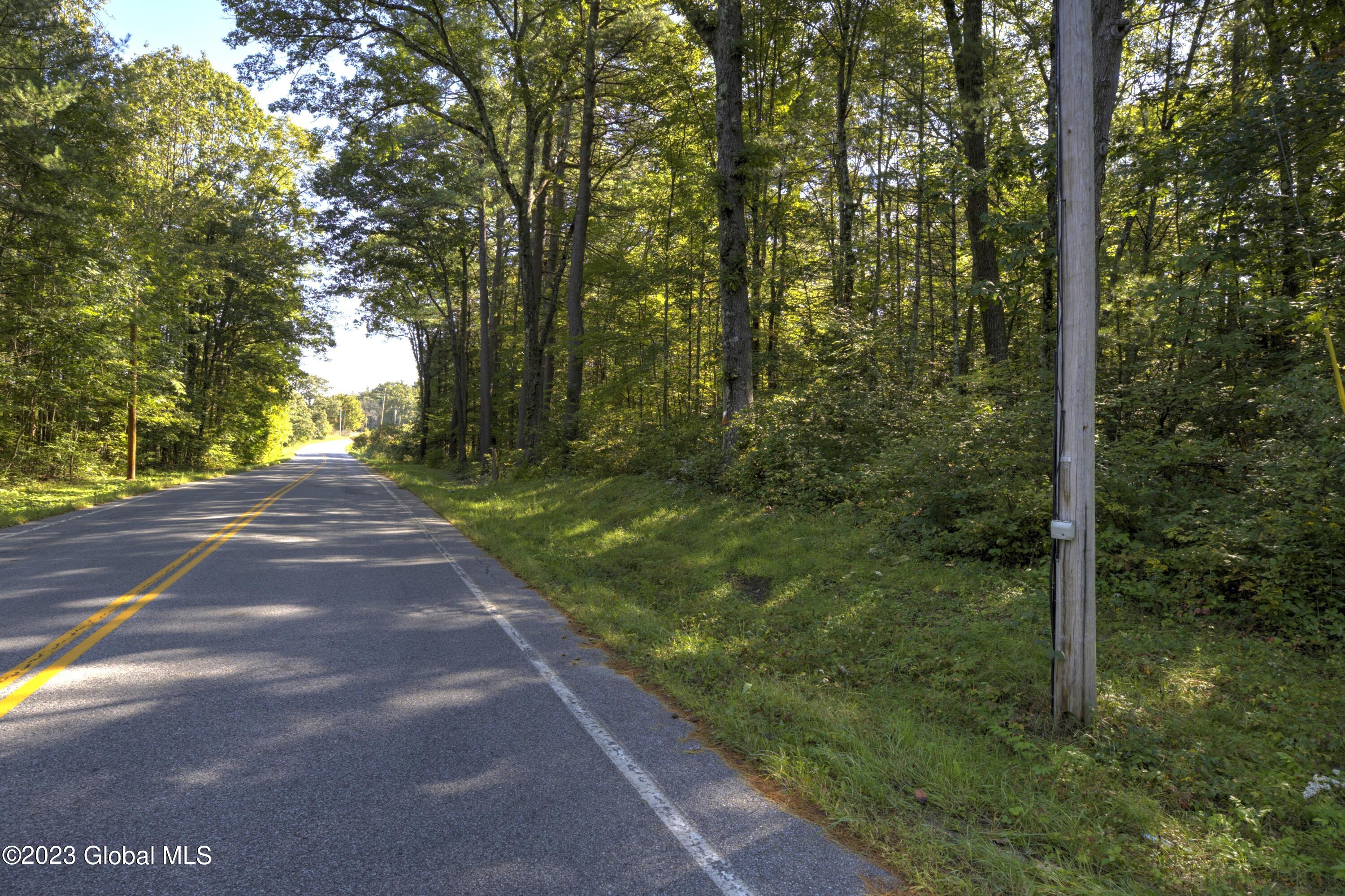 313 Pettis Road Wilton, NY 12831 - Photo 16 of 29 1 (3)