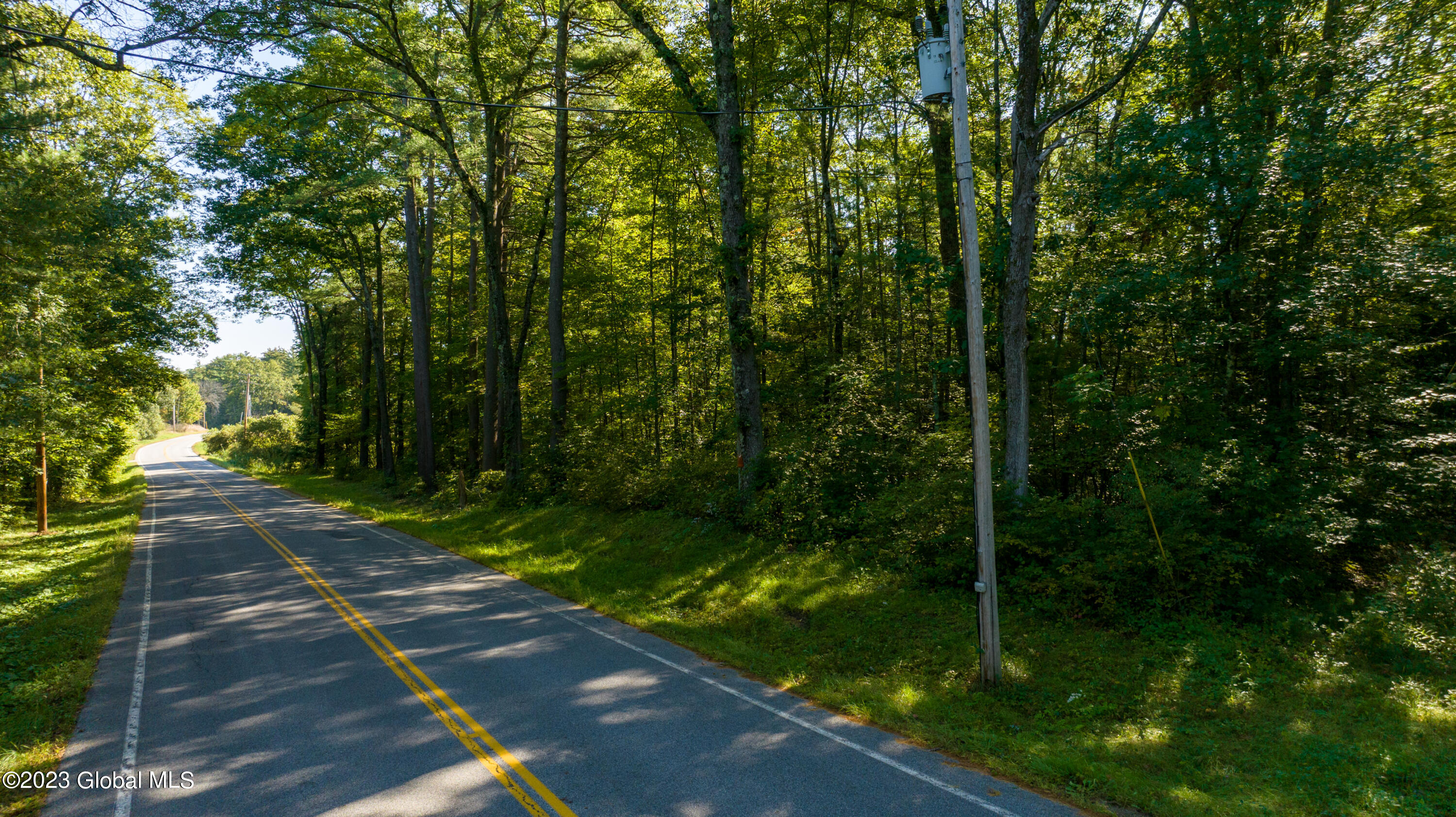 313 Pettis Road Wilton, NY 12831 - Photo 19 of 29 1 (19)