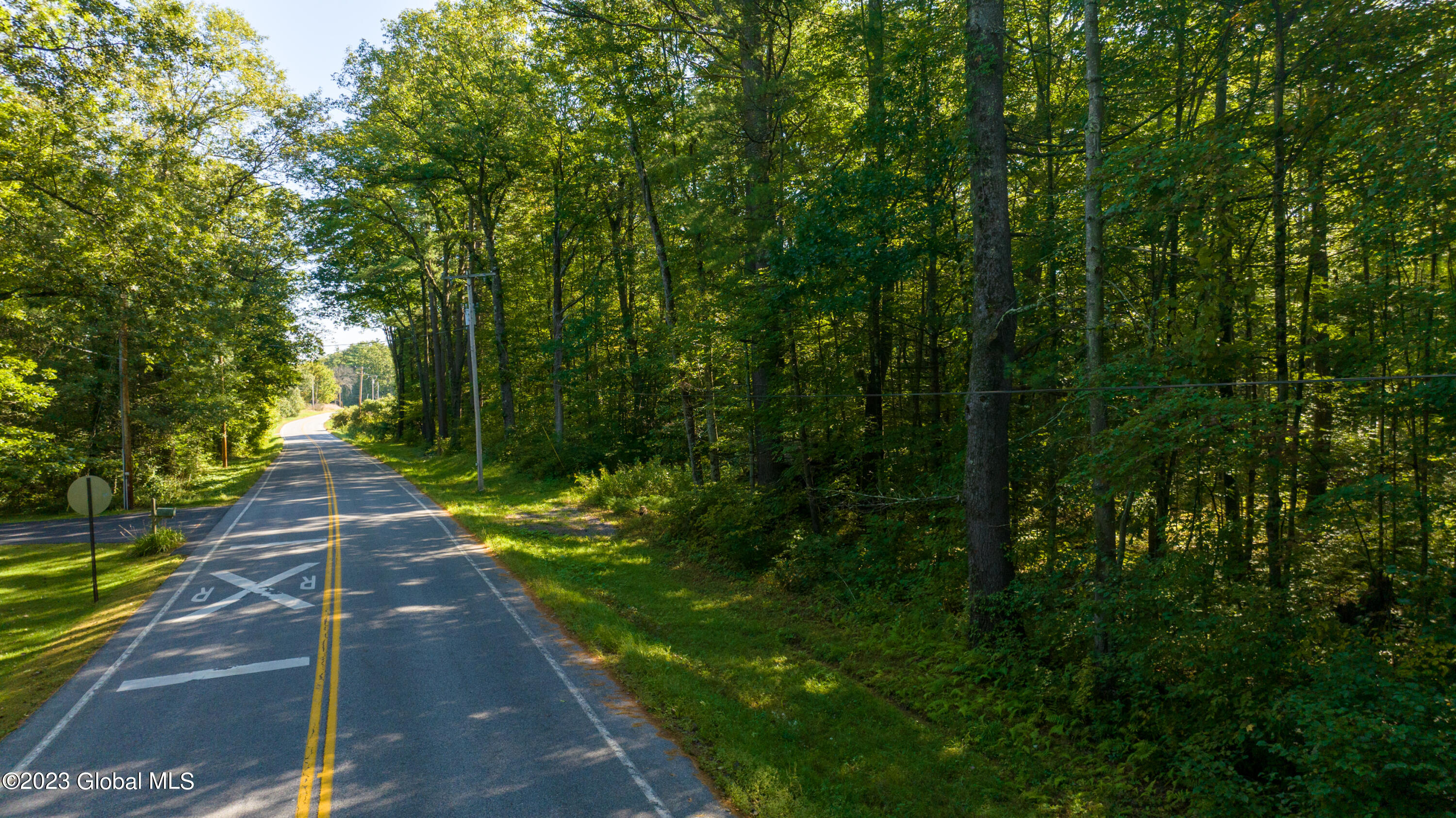 313 Pettis Road Wilton, NY 12831 - Photo 20 of 29 1 (18)