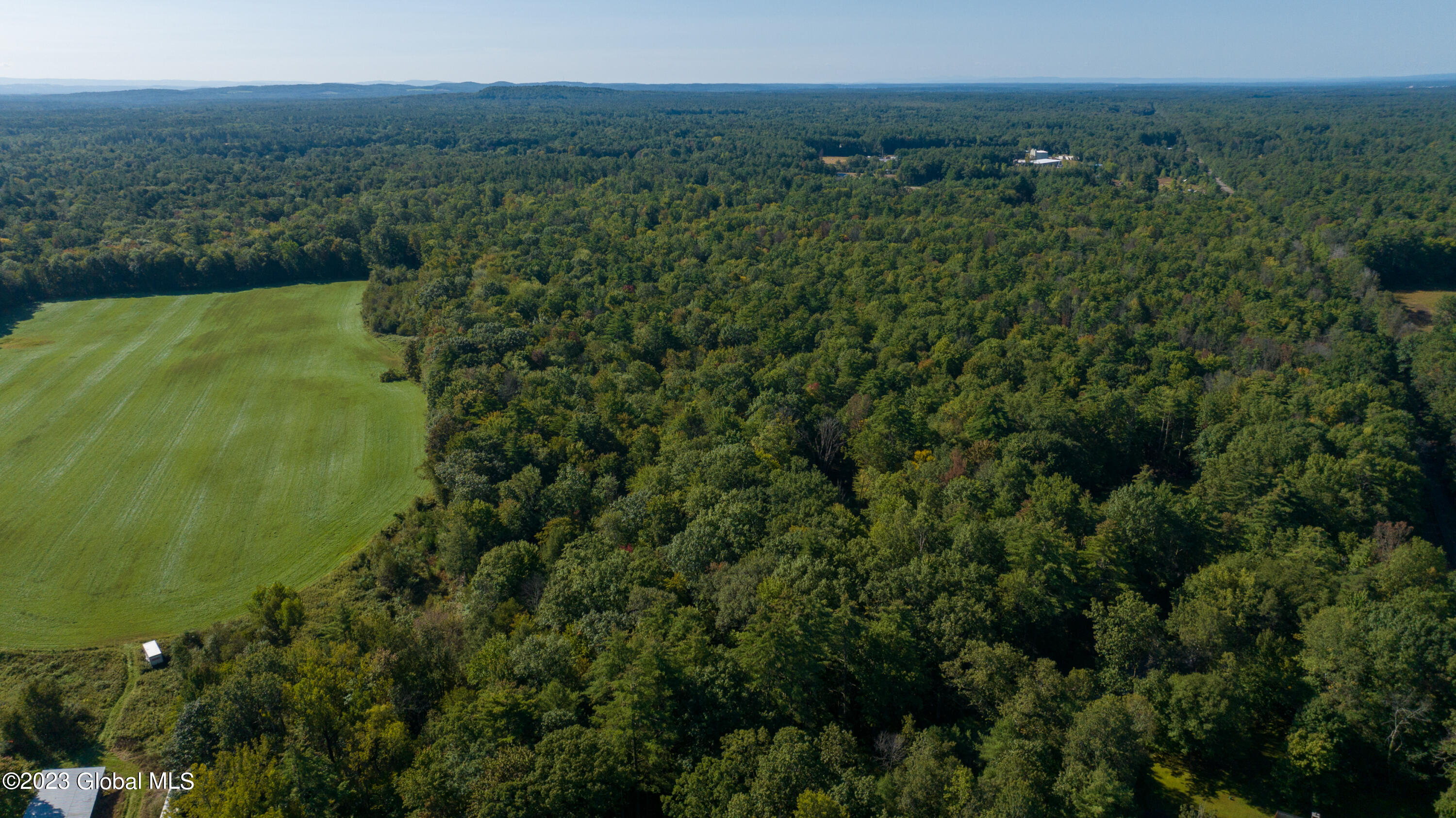 313 Pettis Road Wilton, NY 12831 - Photo 21 of 29 1 (10)