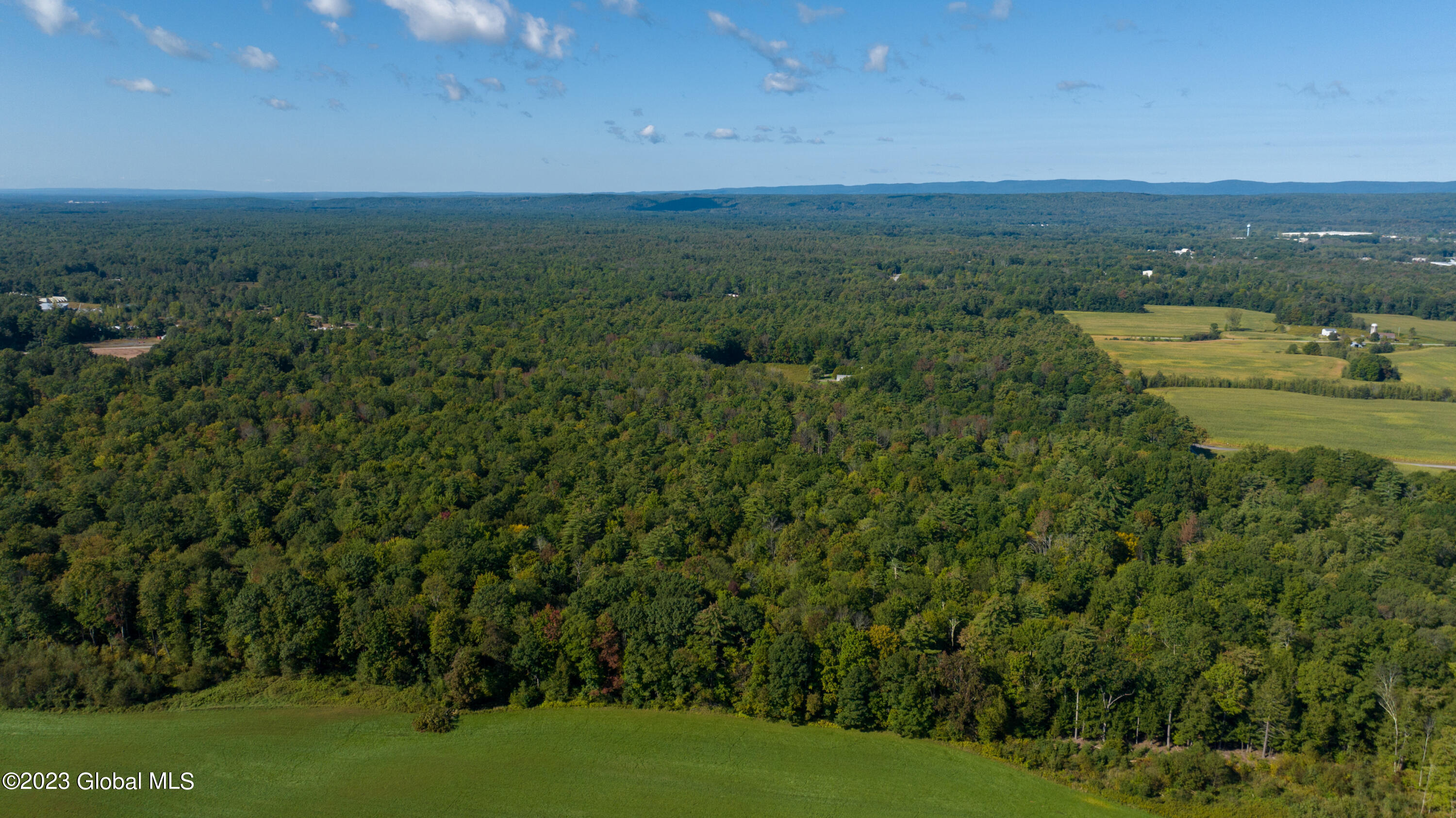 313 Pettis Road Wilton, NY 12831 - Photo 27 of 29 1 (15)