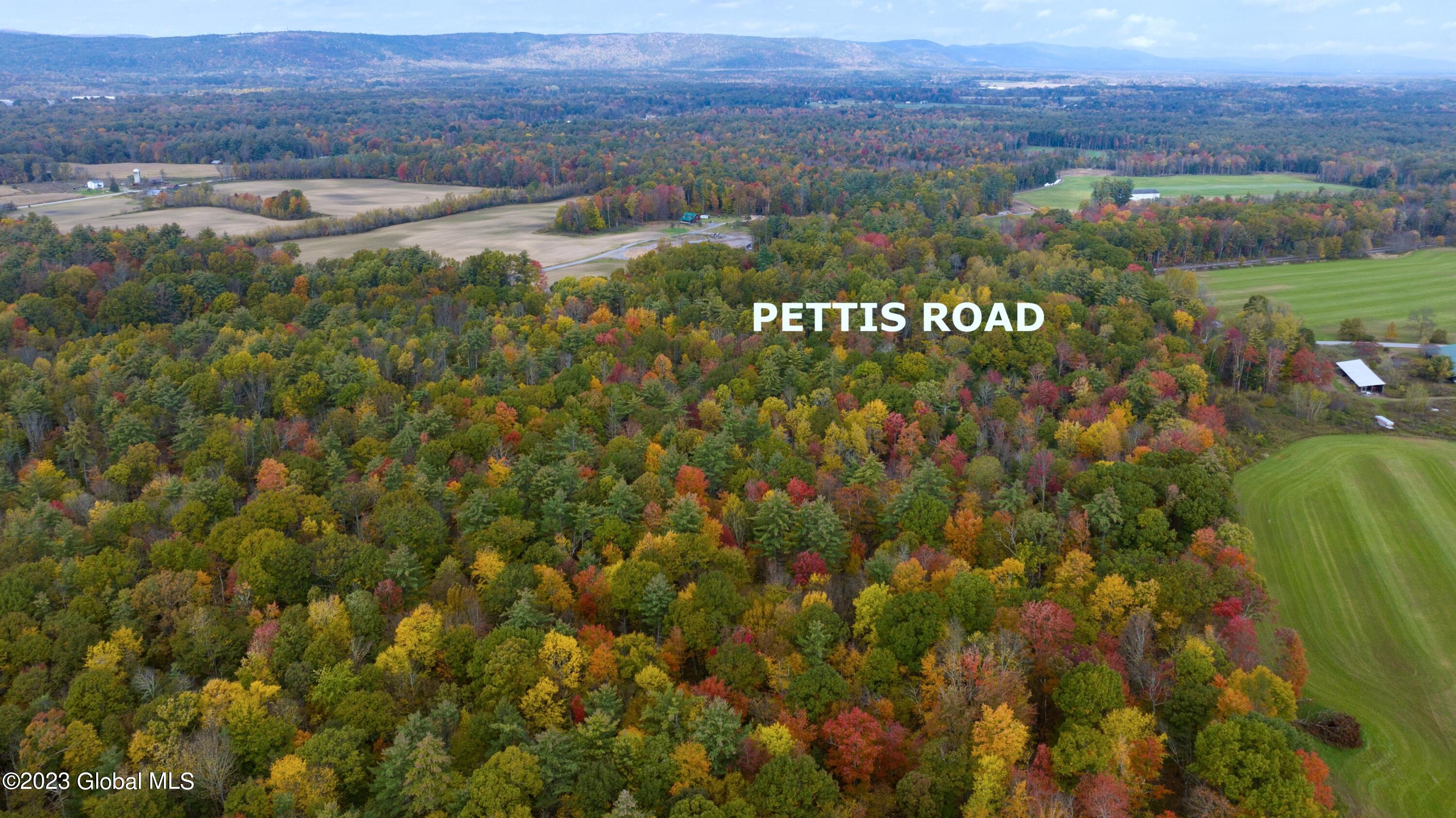 313 Pettis Road Wilton, NY 12831 - Photo 3 of 29 2 (5)