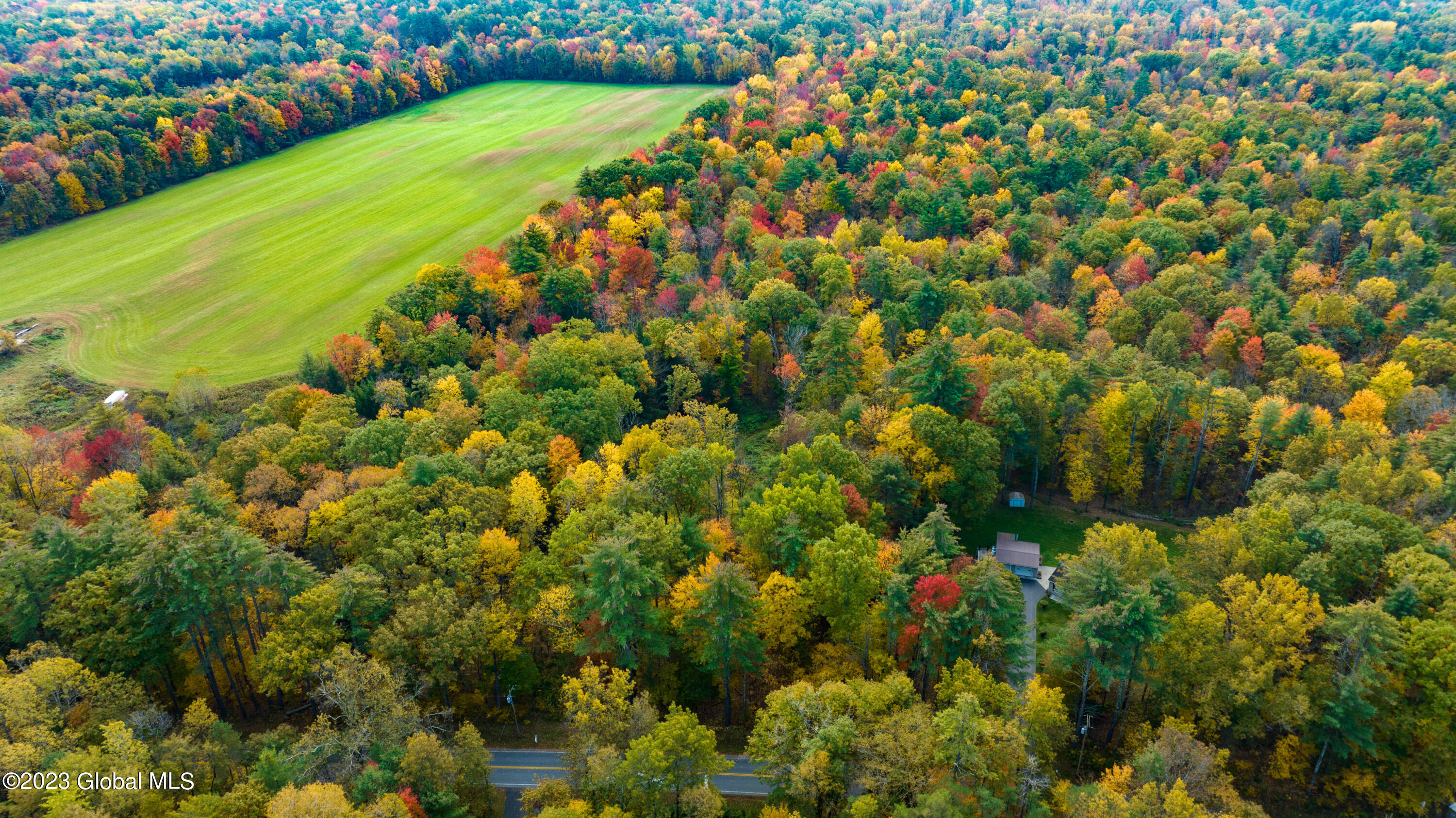 313 Pettis Road Wilton, NY 12831 - Photo 4 of 29 2 (1)