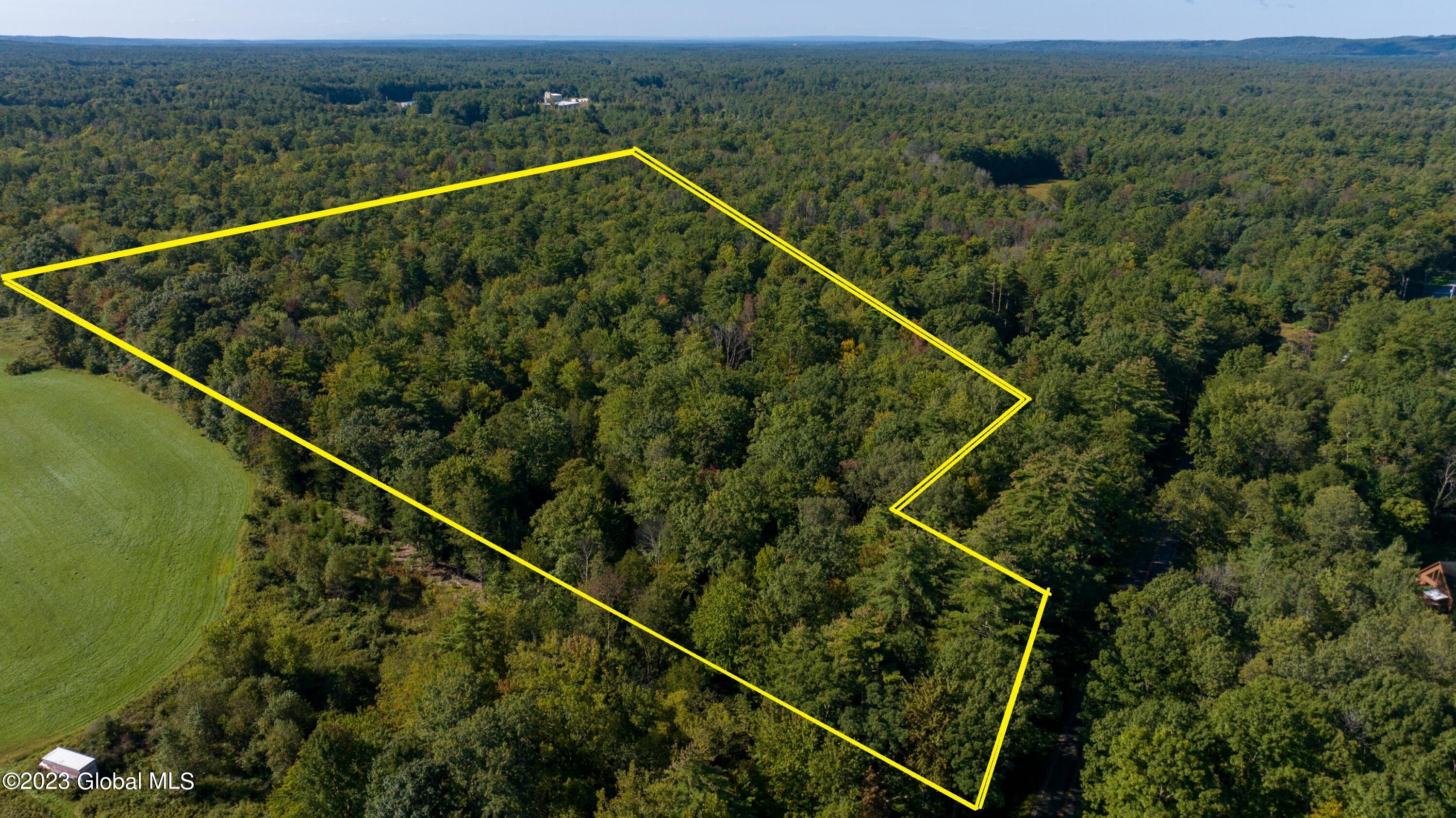 313 Pettis Road Wilton, NY 12831 - Photo 5 of 29 1 (17)