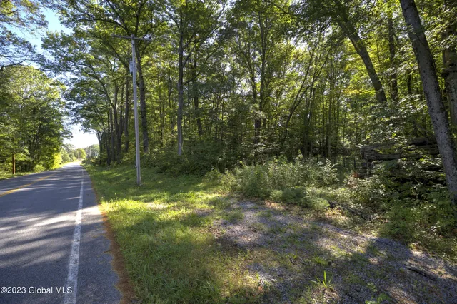 $450,000 | 313 Pettis Road, Wilton, NY 12831