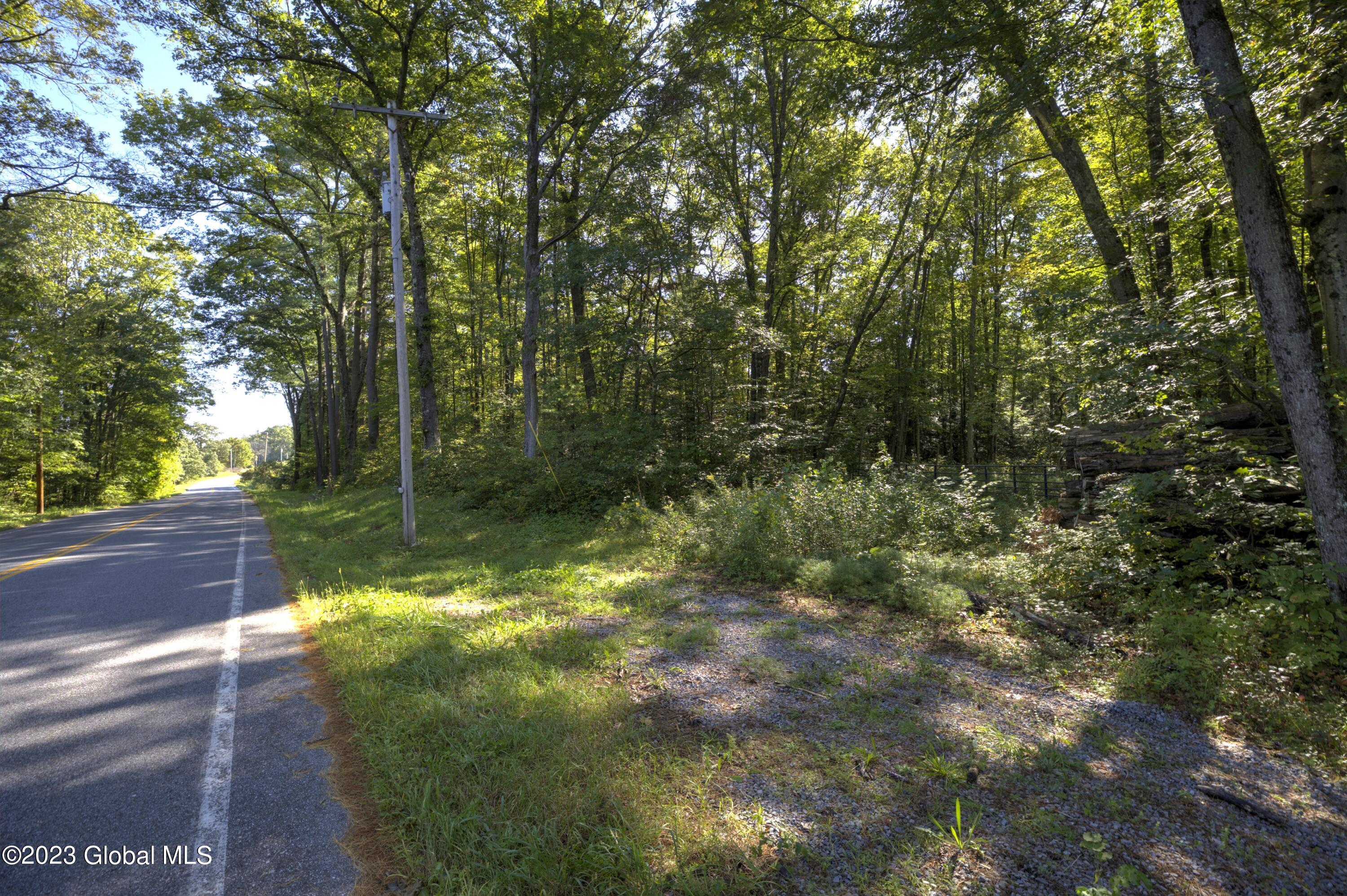 313 Pettis Road Wilton, NY 12831 - Photo 6 of 29 1 (4)