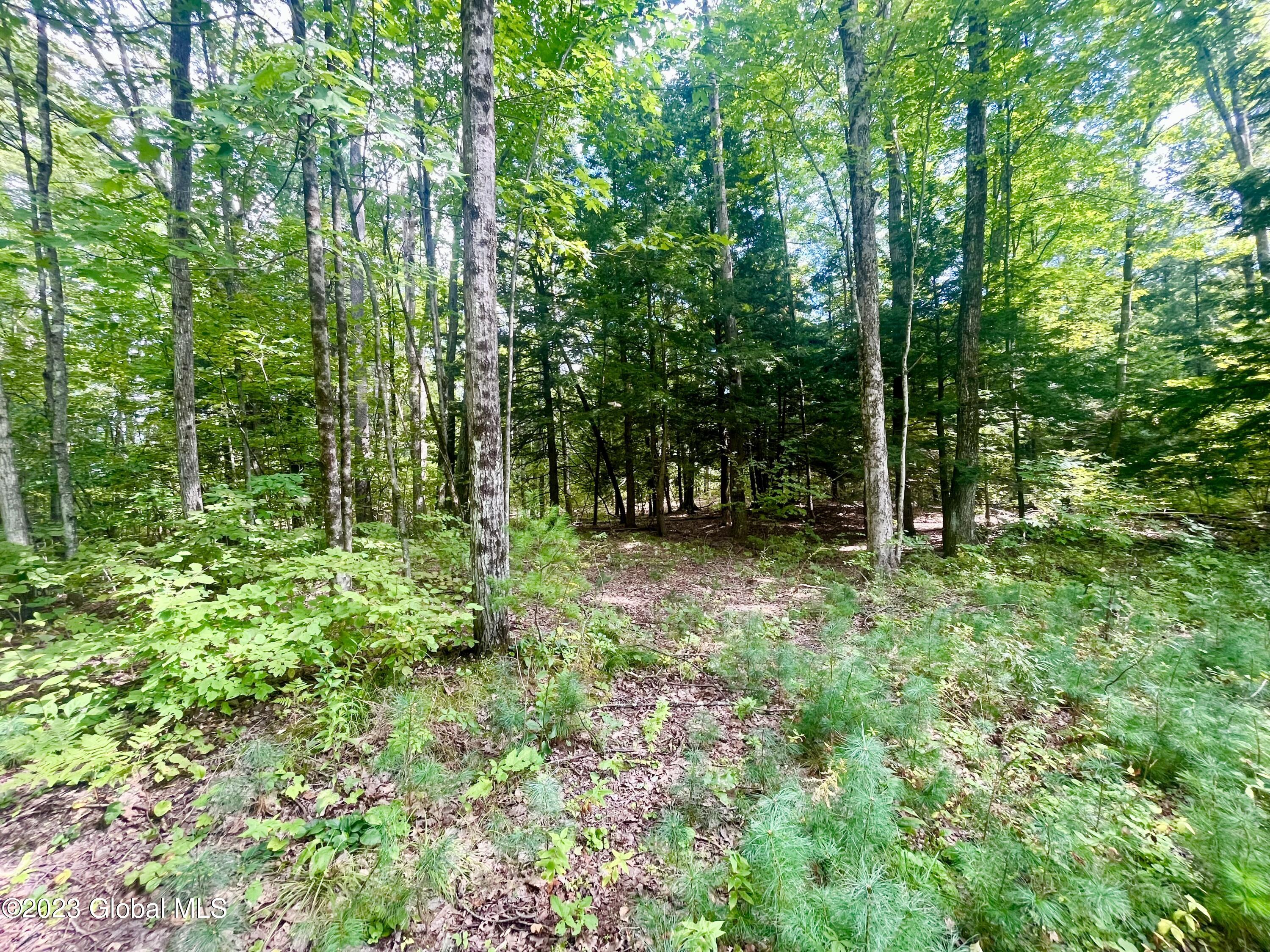 313 Pettis Road Wilton, NY 12831 - Photo 7 of 29 IMG_6347