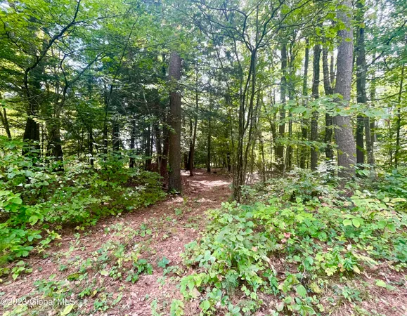 $450,000 | 313 Pettis Road, Wilton, NY 12831