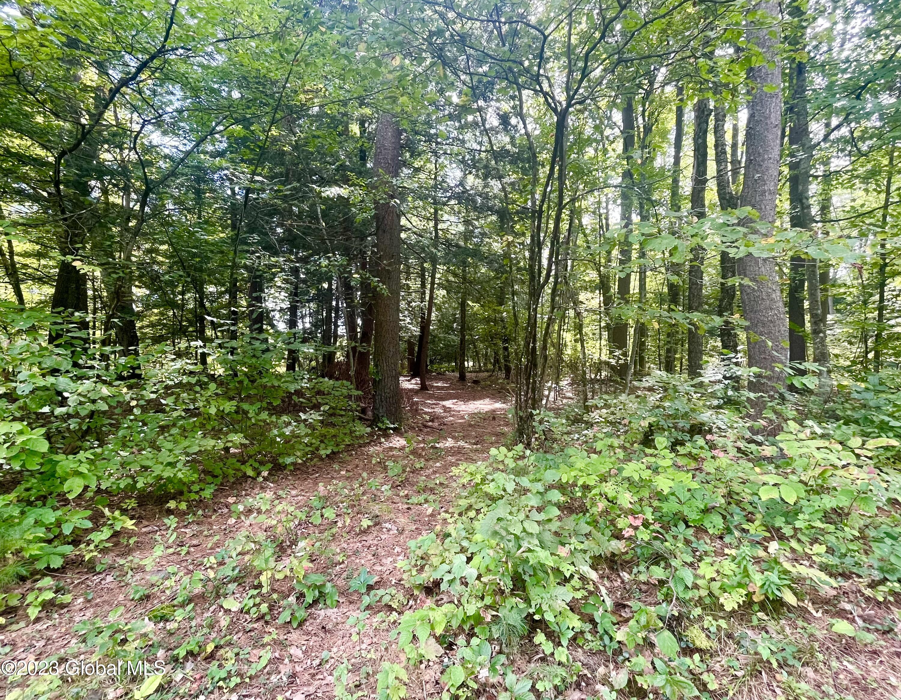 313 Pettis Road Wilton, NY 12831 - Photo 8 of 29 IMG_6351