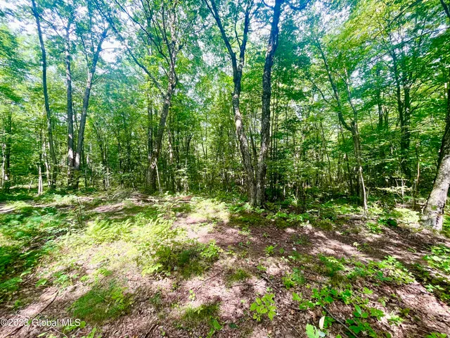 $450,000 | 313 Pettis Road, Wilton, NY 12831