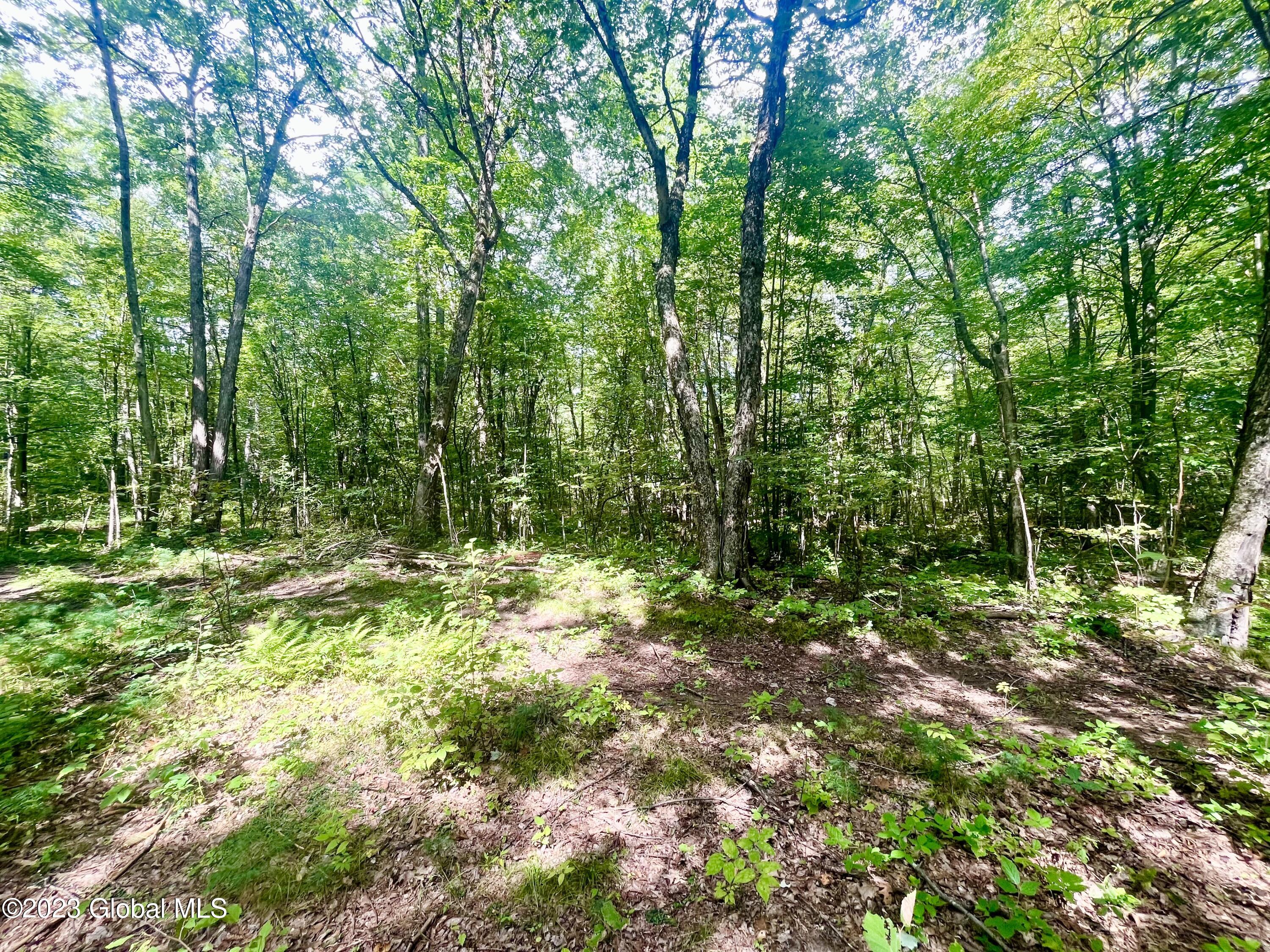 313 Pettis Road Wilton, NY 12831 - Photo 9 of 29 IMG_6344 (1)