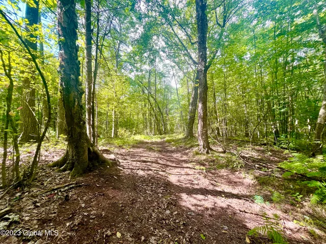 $450,000 | 313 Pettis Road, Wilton, NY 12831