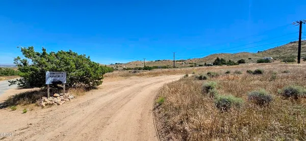 a view of a dry yard with trees