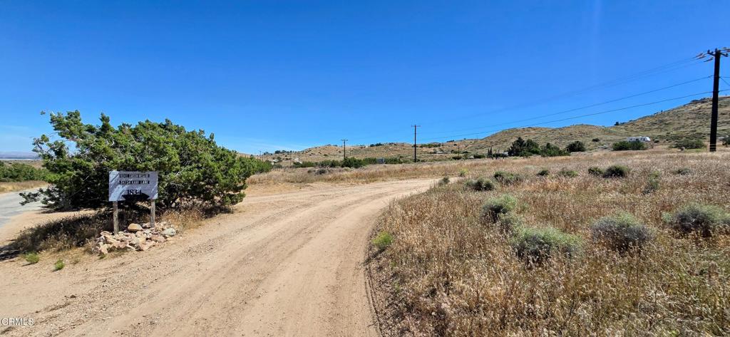 1834 East Carson Mesa Road Palmdale, CA 93550 - Photo 5 of 39 a view of a dry yard with trees