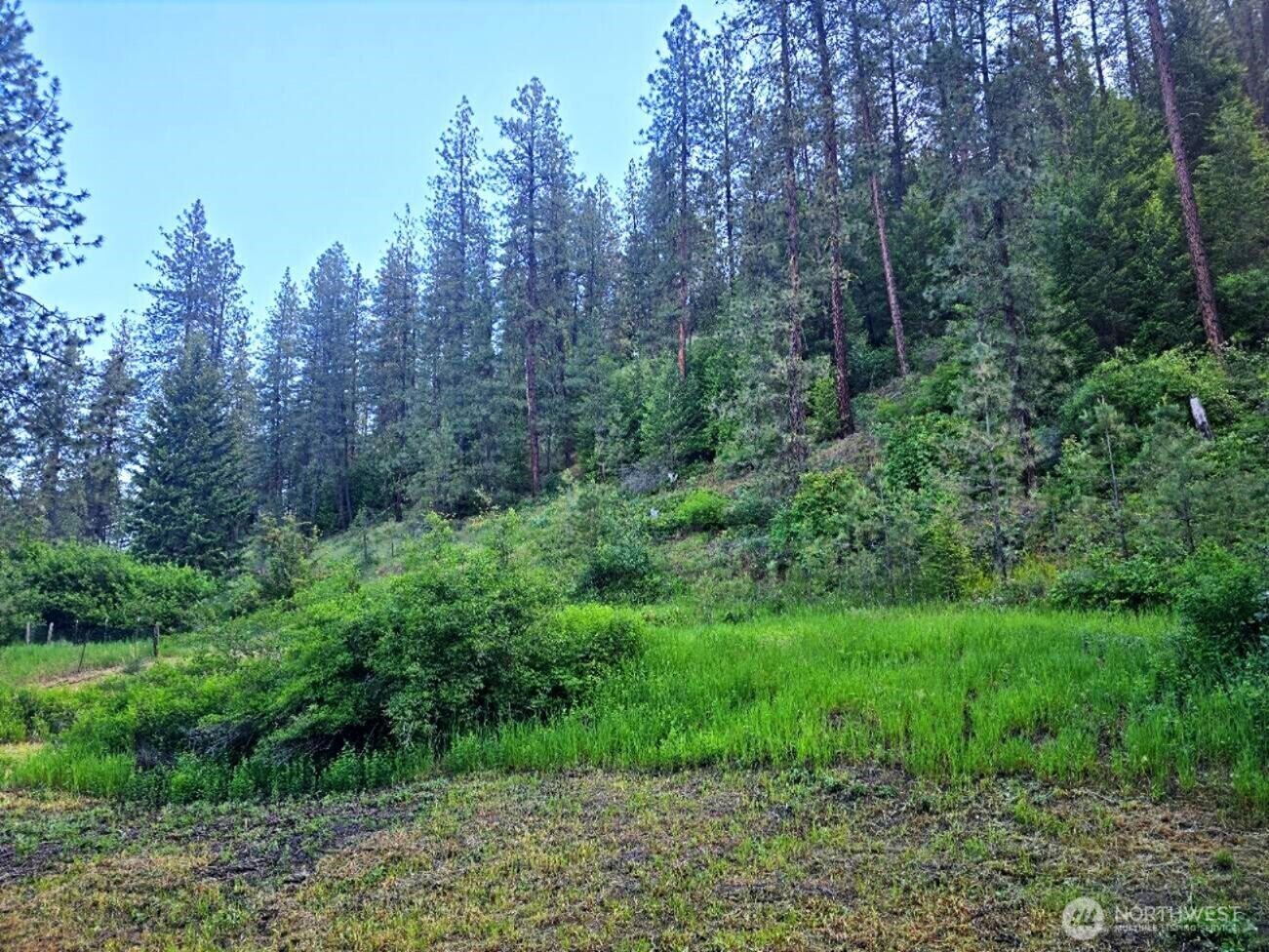 1612 Rickey Canyon Road Kettle Falls, WA 99141 - Photo 32 of 36