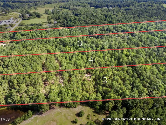 $250,000 | 3 Benson Hardee Road, Benson, NC 27504