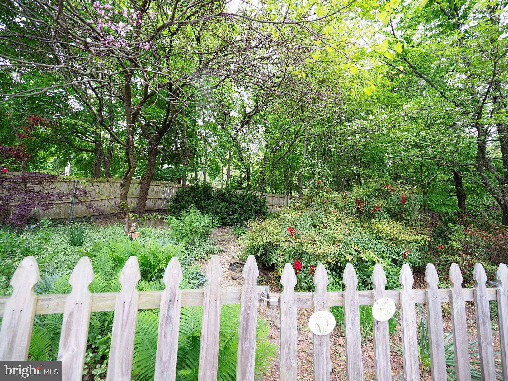 246 Pertch Road Severna Park, MD 21146 - Photo 45 of 54 Gallery Image 45
