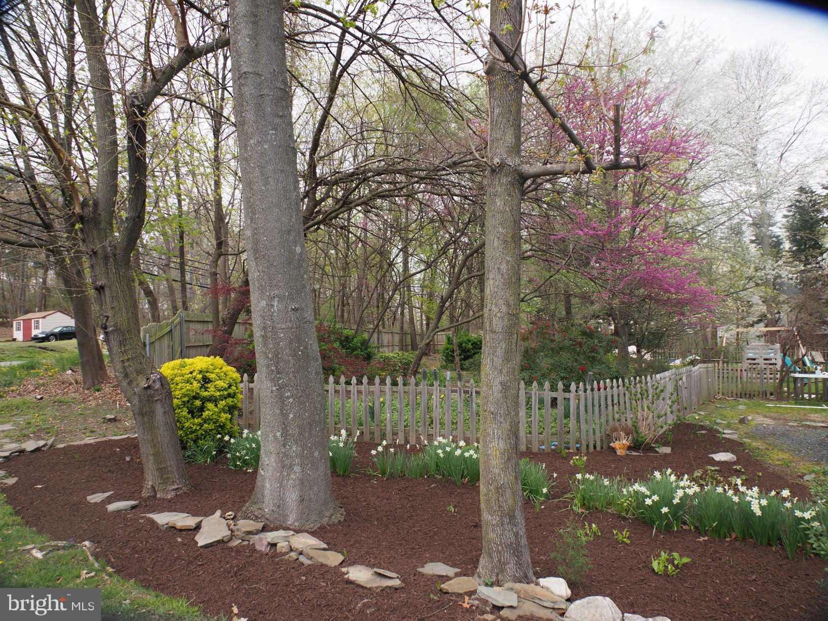 246 Pertch Road Severna Park, MD 21146 - Photo 49 of 54 Gallery Image 49