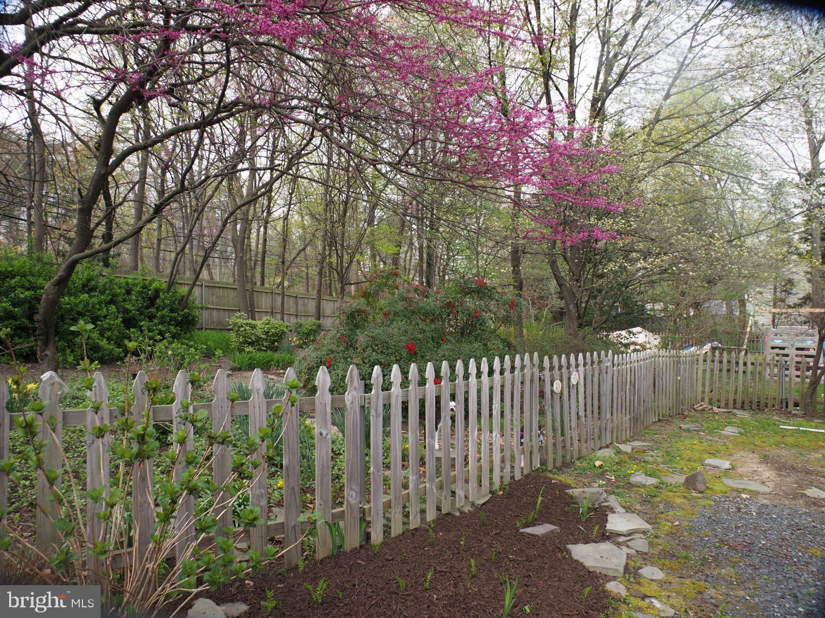 246 Pertch Road Severna Park, MD 21146 - Photo 50 of 54 Gallery Image 50