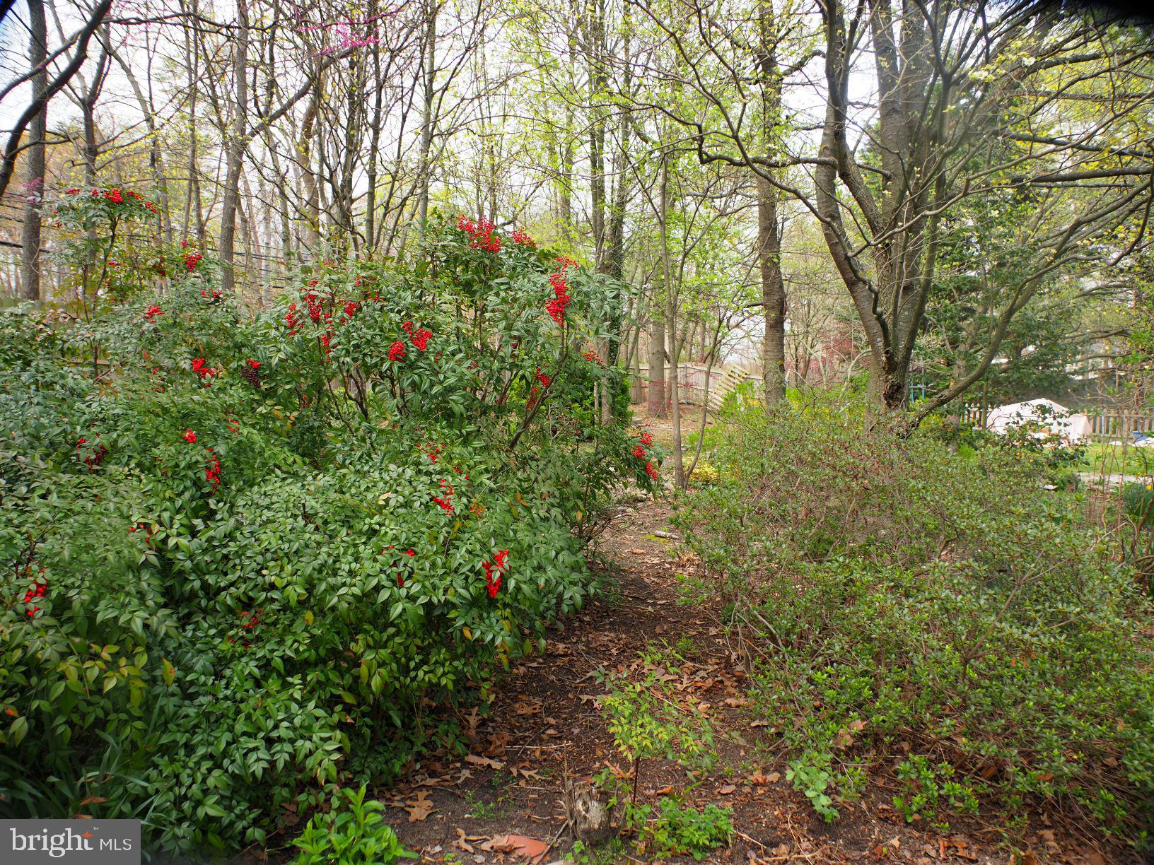 246 Pertch Road Severna Park, MD 21146 - Photo 51 of 54 Gallery Image 51