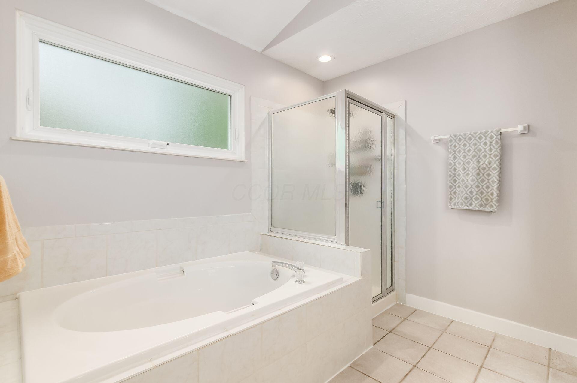 2881 Bohlen Drive Hilliard, OH 43026 - Photo 32 of 56 Master Bath, Tub, Shower, Vanity w/Dual Sinks