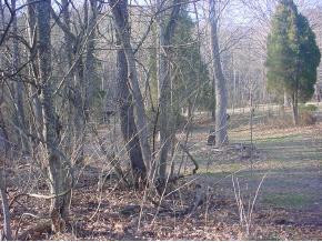 0 Bray Road Surgoinsville, TN 37873 - Photo 6 of 9 Photo 6