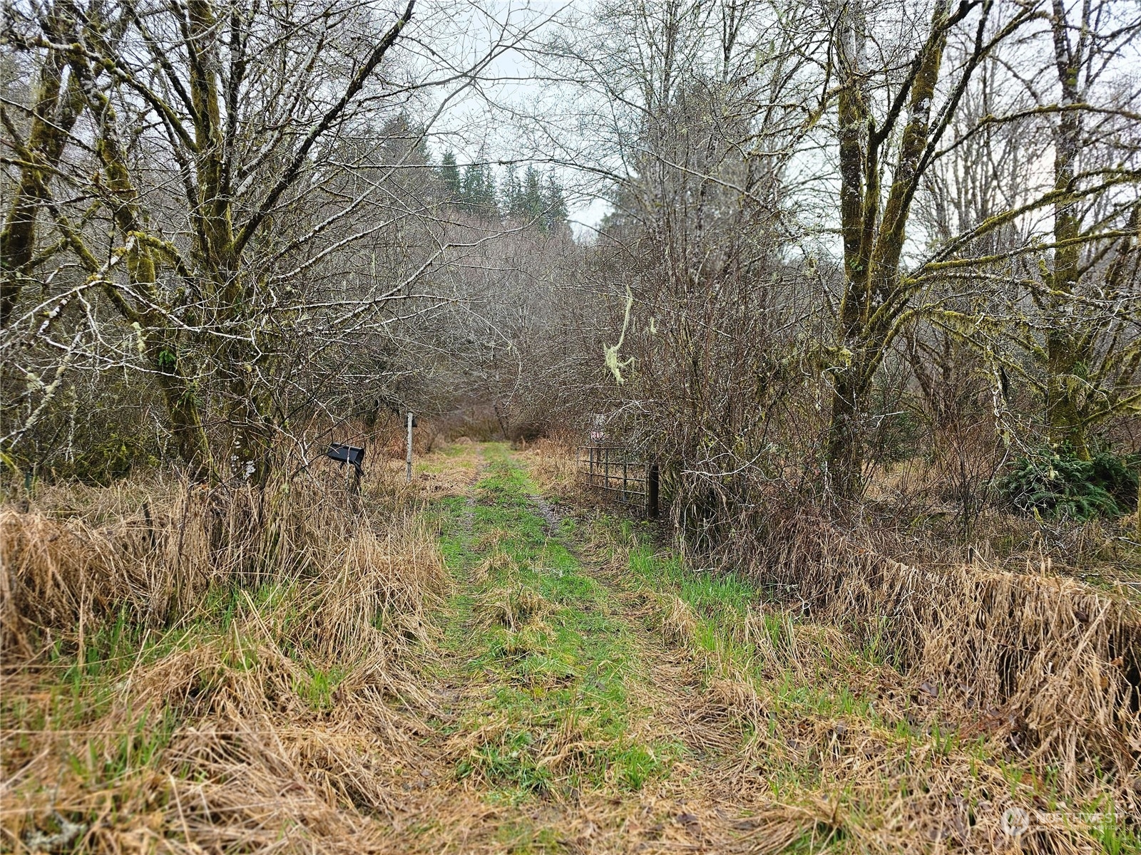 610 Smith Creek Road Raymond, WA 98577 - Photo 5 of 12 Gallery Image 5