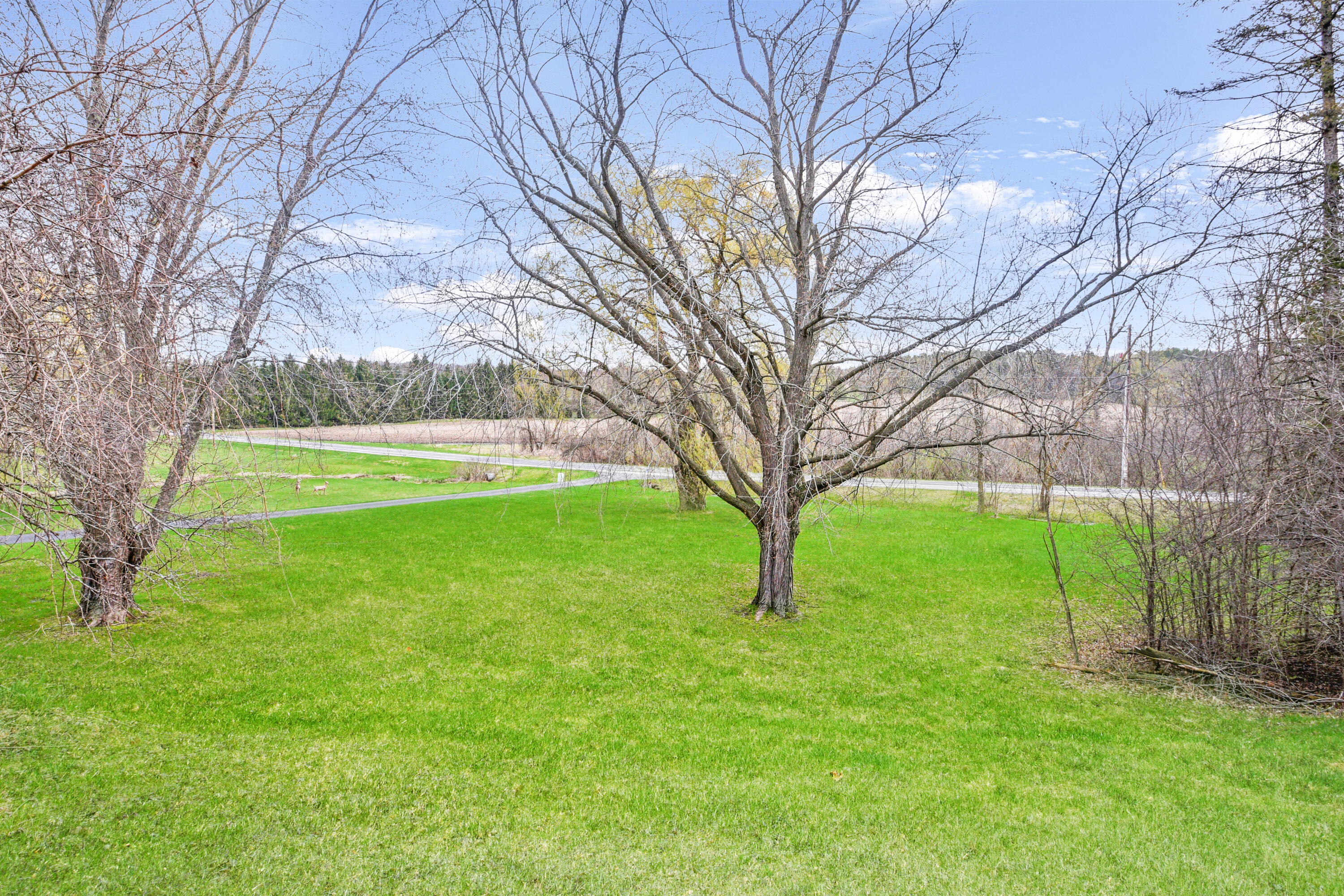 6909 Town Line Road Addison, WI 53090 - Photo 18 of 26 Backyard View