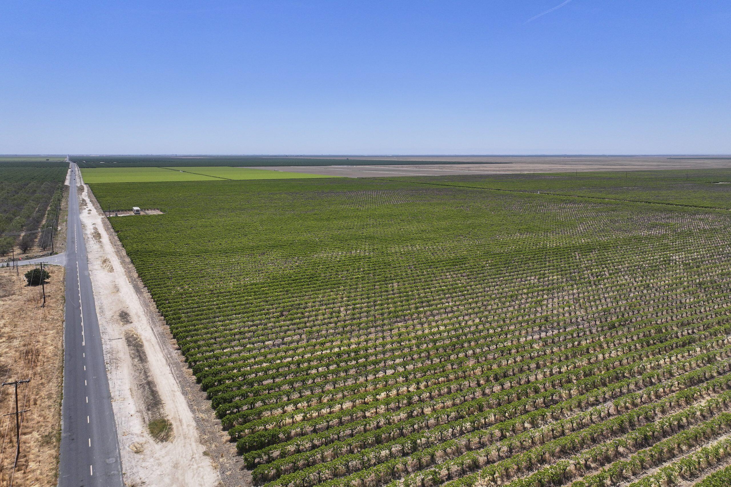 Howard Road Earlimart, CA 93219 - Photo 9 of 12 2026-05-11-Schuil-For-Sale-Earlimart-238