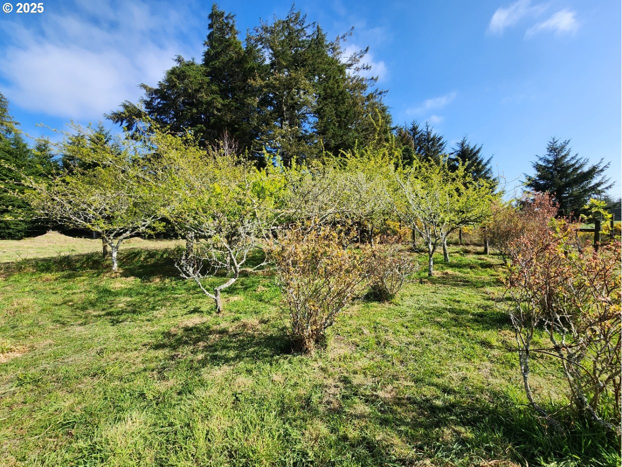 92920 Cape Blanco Road Sixes, OR 97476 - Photo 34 of 48 Yard