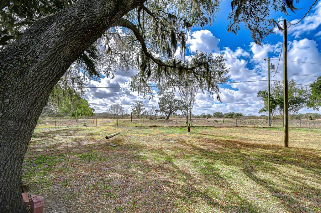 36305 Sunshine Road Zephyrhills, FL 33541 - Photo 24 of 30 Gallery Image 24