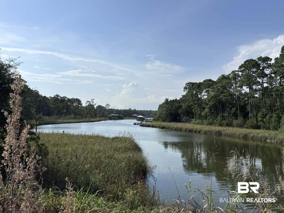 13511 Douglas Lane Foley, AL 36535 - Photo 13 of 15 Nolte Creek north side of bridge not part of property