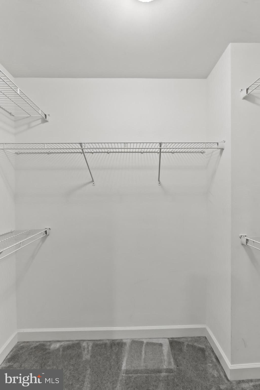 904 West Glebe Road Alexandria, VA 22305 - Photo 20 of 38 a view of small space with racks on the wall