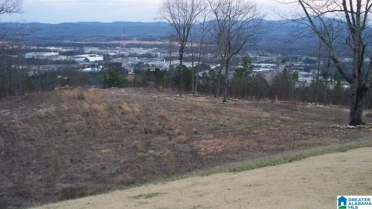 515 Laurel Springs Road Anniston, AL 36207 - Photo 37 of 41