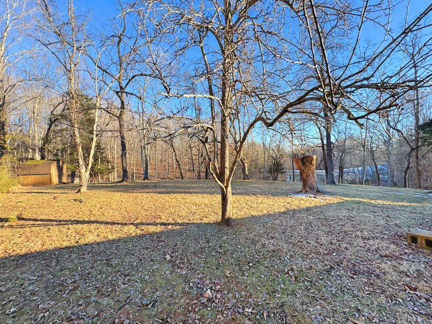 1624 Wiggington Road Lynchburg, VA 24503 - Photo 4 of 32 Gallery Image 4