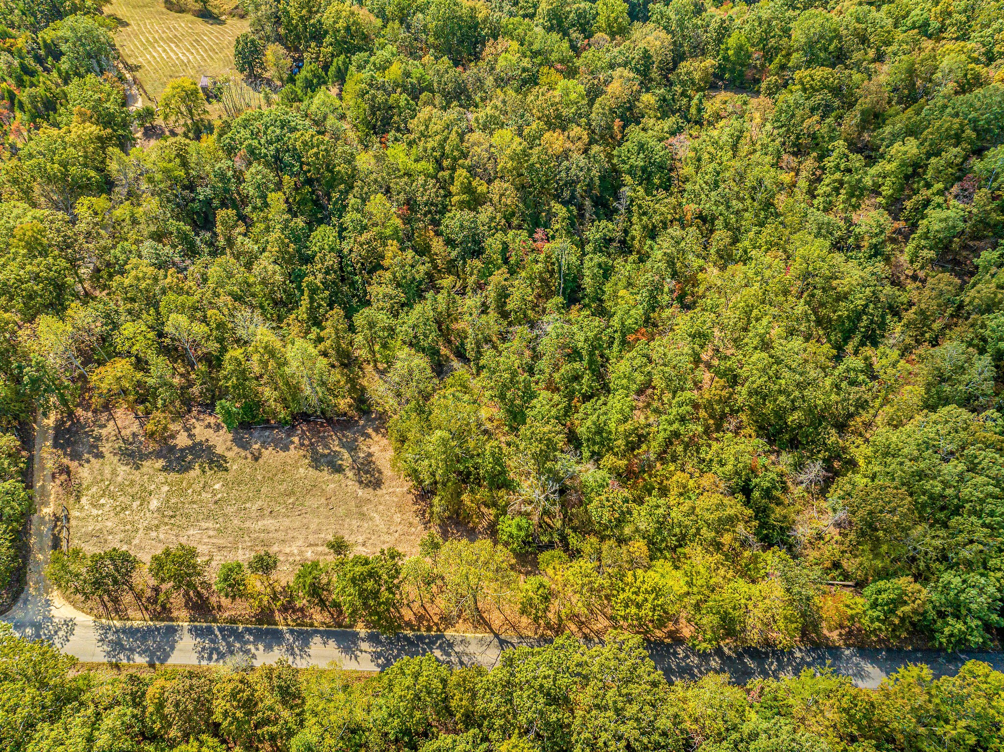 0 Primm Springs Rd Unit 2