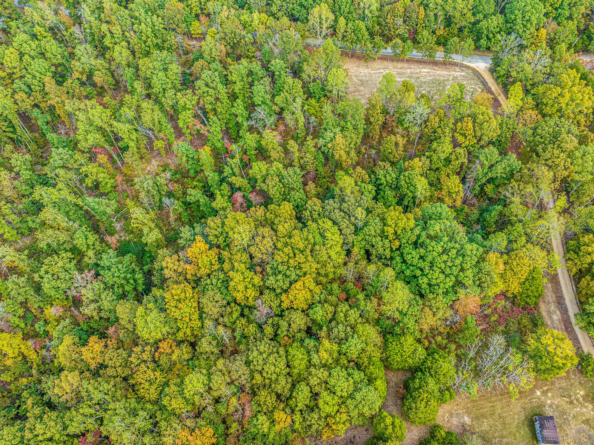 0 Primm Springs Road, Unit 2 Lyles, TN 37098 - Photo 1 of 2 a view of a yard