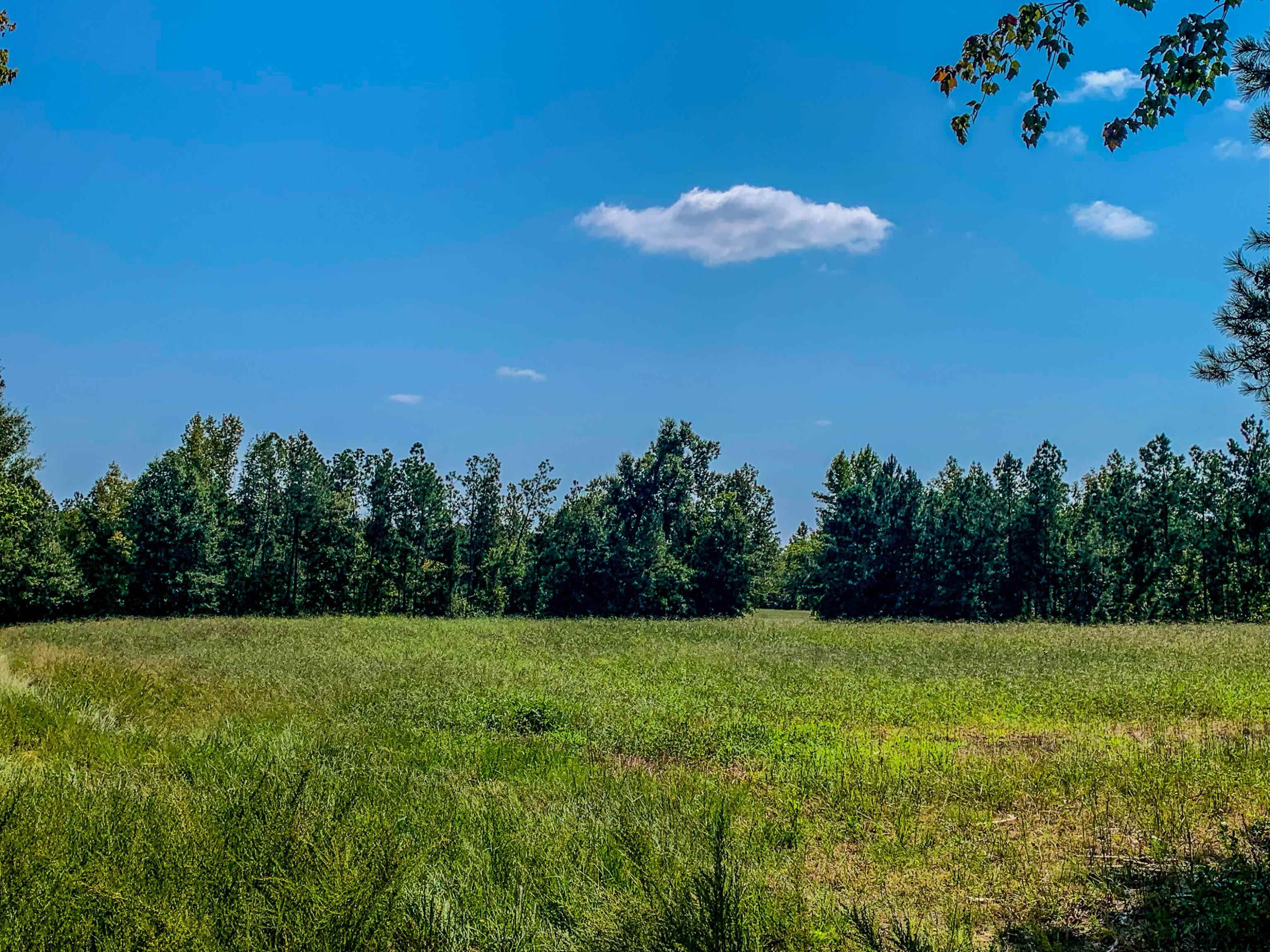 3640 Old Allensville Road Roxboro, NC 27574 - Photo 2 of 94 Photo 2