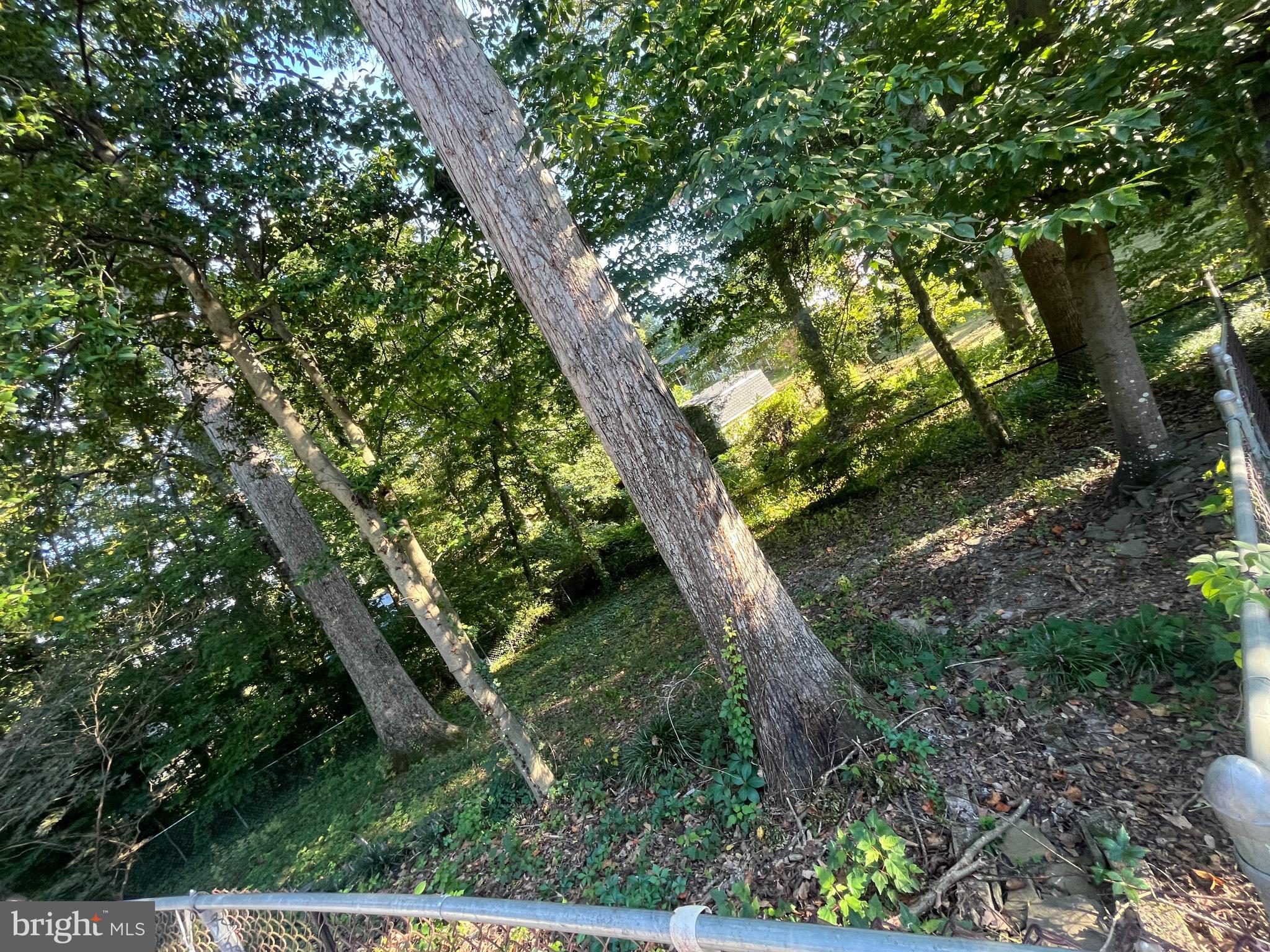 3203 Riverview Drive Triangle, VA 22172 - Photo 74 of 77 Dog run area 1