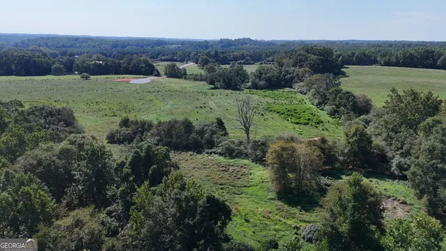 a view of a field of grass and trees