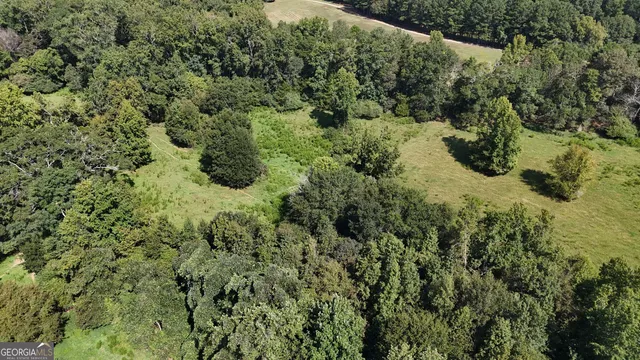 a view of a grassy field with trees