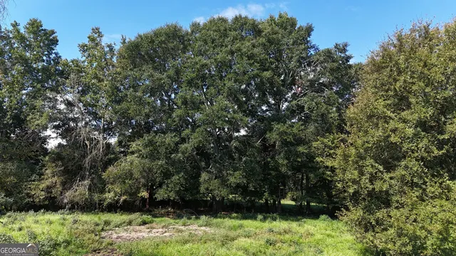 an aerial view of a residential houses with outdoor space