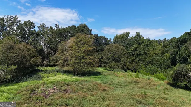 a view of a pathway both side of grassy field with shrub