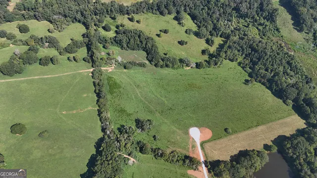 a view of a backyard with large trees