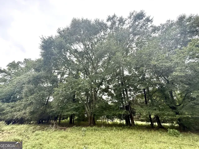 an aerial view of a houses with a lush green hillside