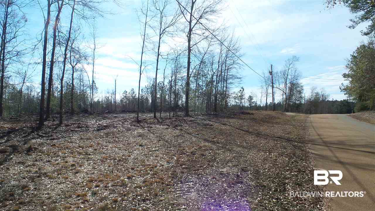 5-6 Dixon Nursery Road Brewton, AL 36426 - Photo 9 of 21