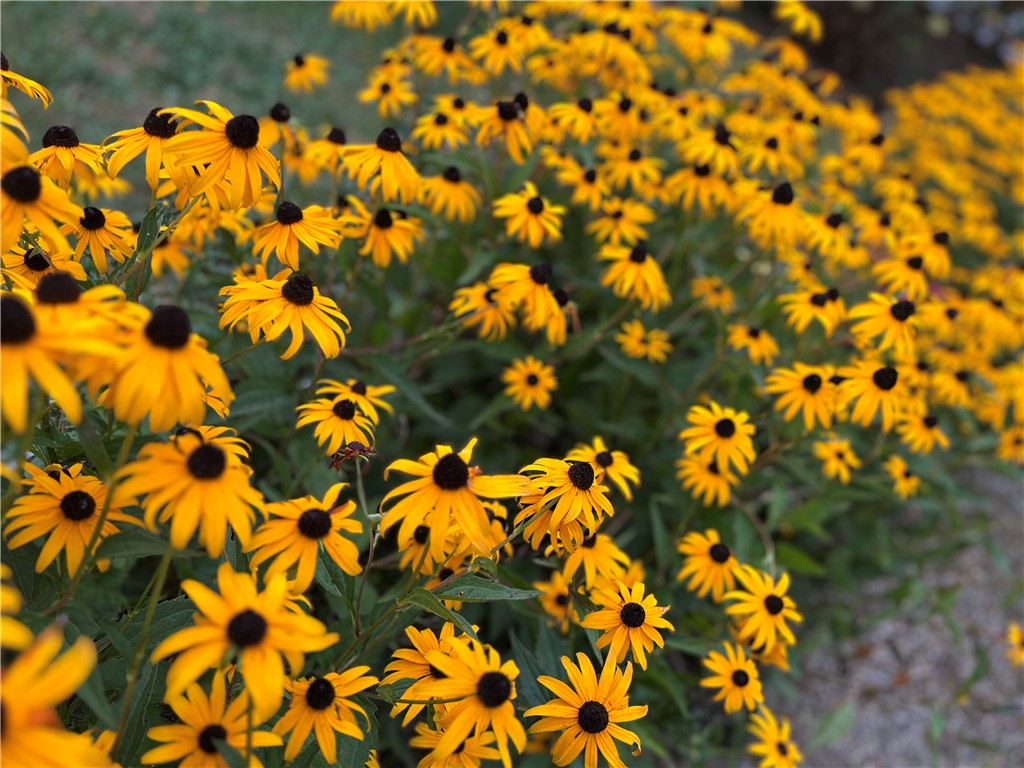 86 Maple Avenue Middletown, RI 02842 - Photo 24 of 27