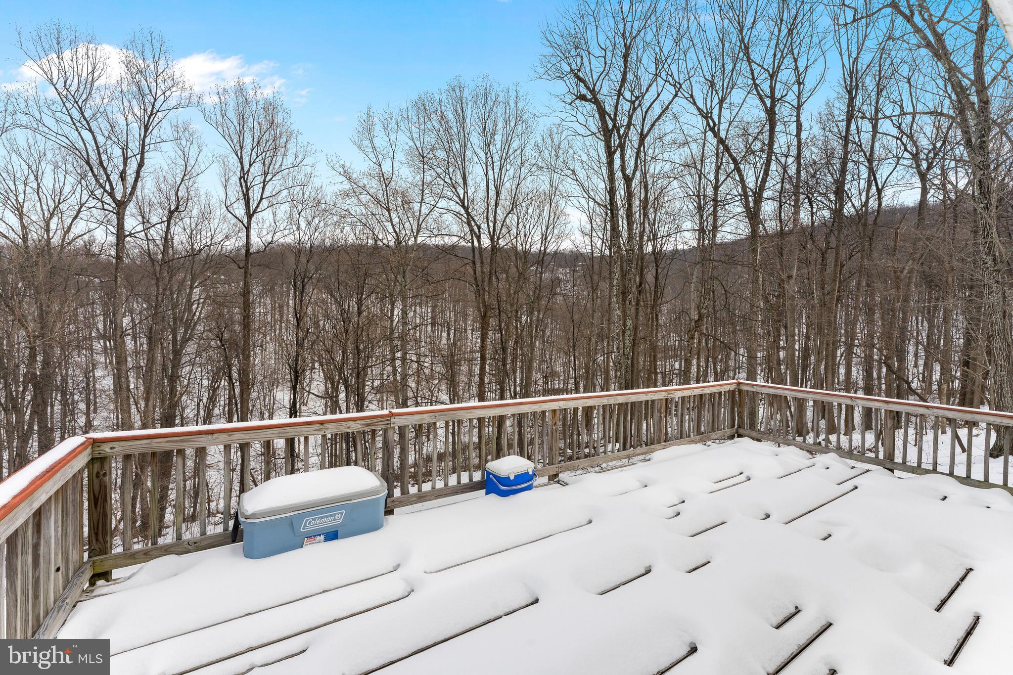 250 Ridge Top Lane Linden, VA 22642 - Photo 12 of 31 Deck Off Kitchen