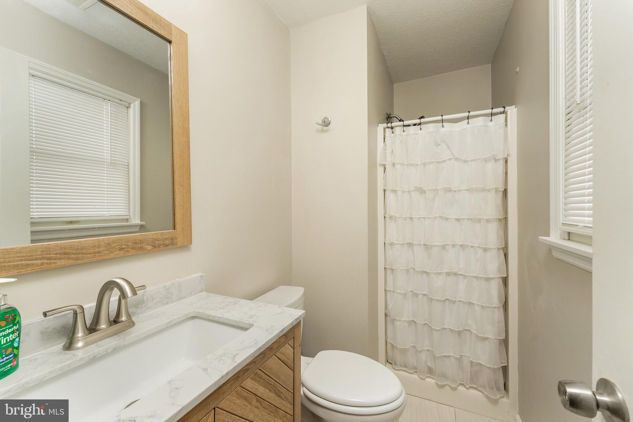 250 Ridge Top Lane Linden, VA 22642 - Photo 16 of 31 Primary Bathroom